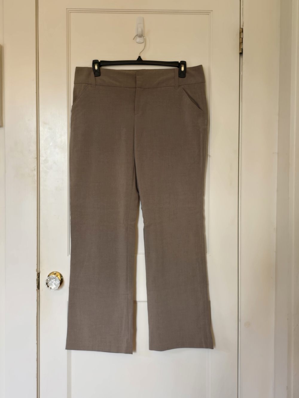 Daisy Fuentes Taupe Boot-Cut Trousers - Picture 1 of 7